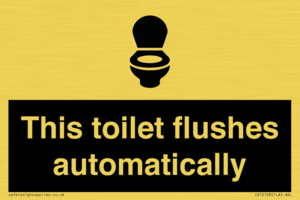 This toilet flushes automatically